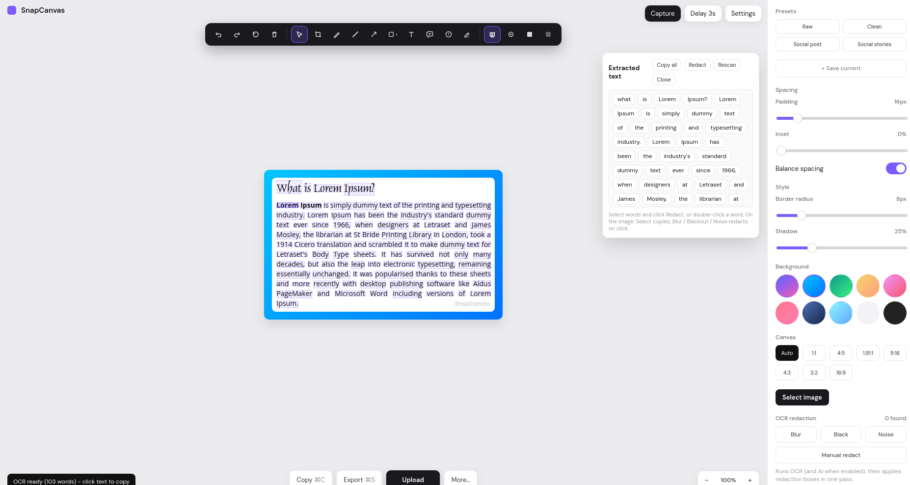 OCR text extraction with selectable word chips